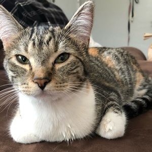 Meet your Posher, Alexis